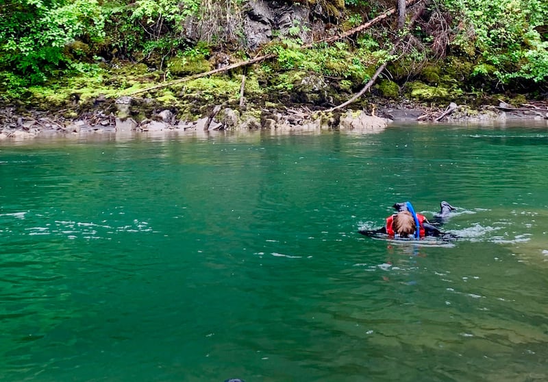 190922-bain-salmon-snorkeling-embed-5_cxlymu