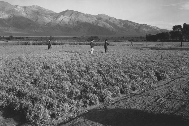 galleries/2015/10/07/ansel-adams-s-lost-internment-camp-photos/151001-manzanar-camp-00281u_mzcqcf