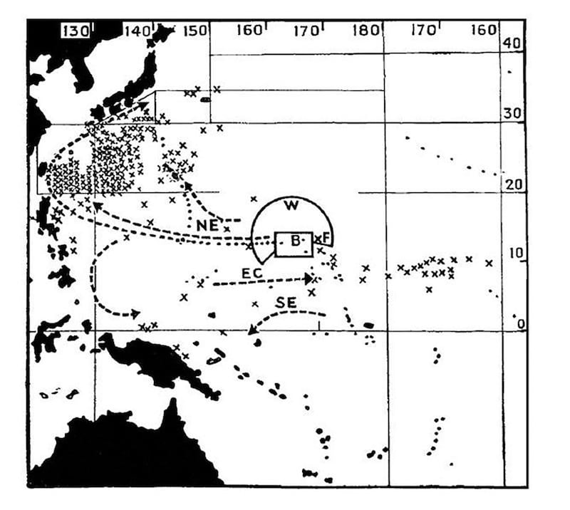 190224-letman-castle-bravo-bikini-atoll-bomb-tests-embed-4_ea47zc