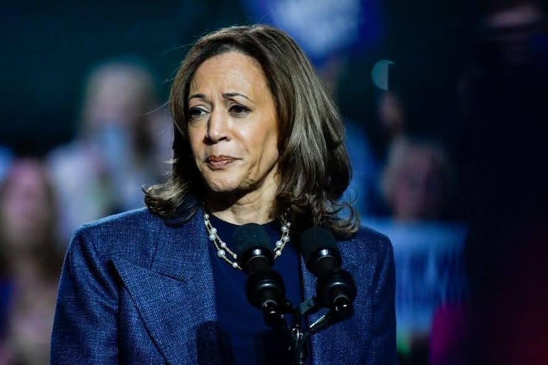 The Democratic blame game has begun after Kamala Harris’ defeat to Donald Trump in the 2024 presidential election.