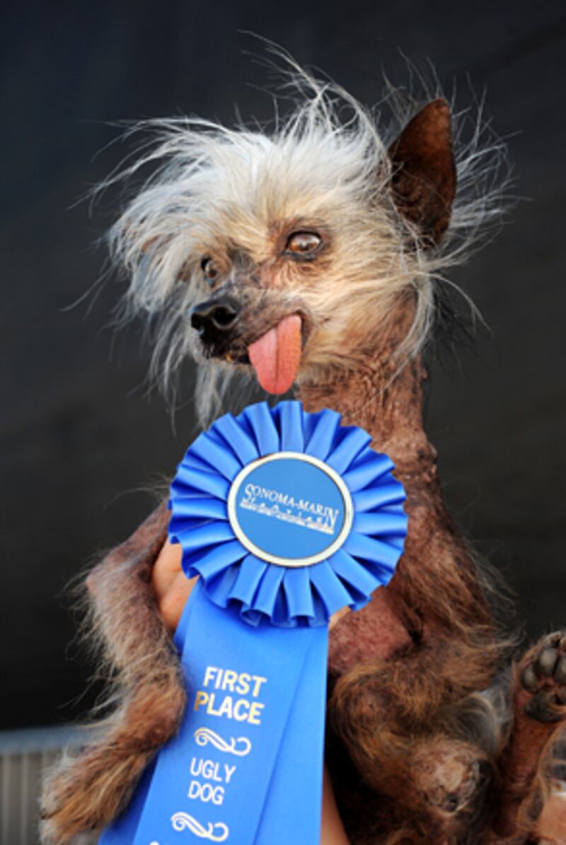 galleries/2009/06/28/worst-in-show-the-best-of-the-world-s-ugliest-dog-contest/ugly-dogs-07_swzvoe