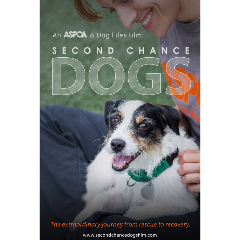 articles/2016/11/06/second-chance-dogs-offering-traumatized-dogs-a-life-saving-second-chance/161105-Stern-Second-chance-dogs-embed_qhmamp