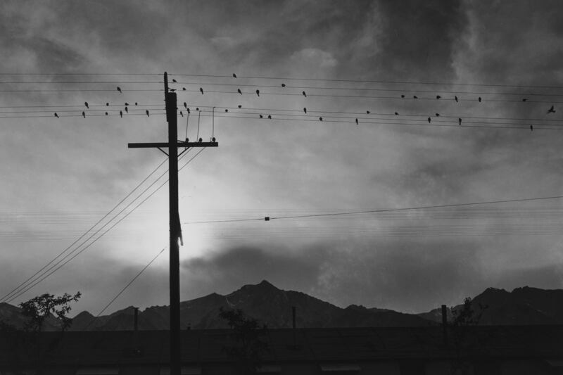 galleries/2015/10/07/ansel-adams-s-lost-internment-camp-photos/151001-manzanar-camp-00291a_fr6521