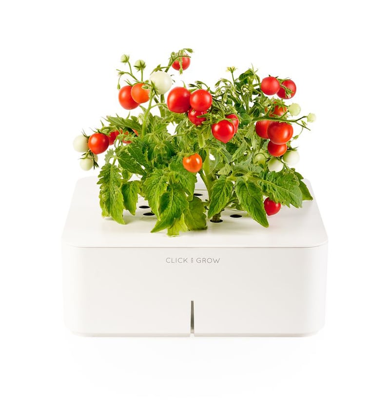 galleries/2012/12/06/2012-gift-guide-for-the-locavore/guide-grow1440_qhvuir