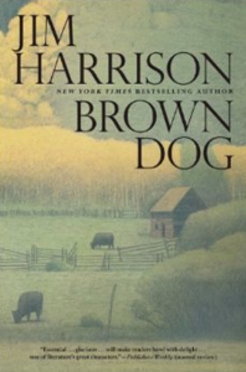 articles/2013/12/07/the-legend-of-brown-dog-a-great-american-hero-gets-his-due/131206-brown-dog-cover_ncnevx