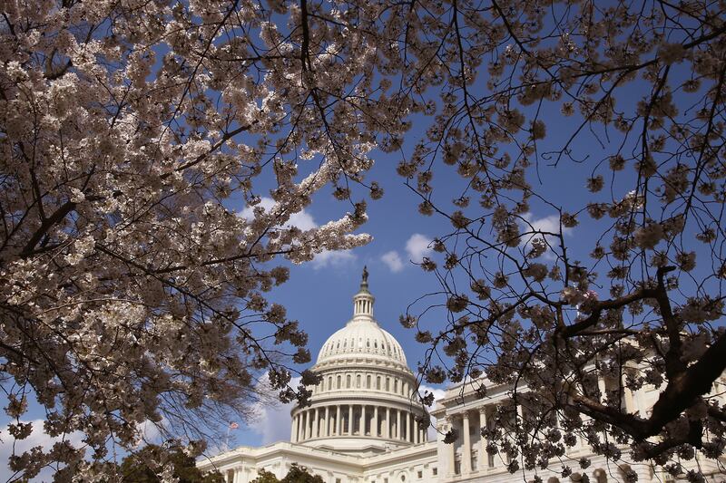 galleries/2014/04/10/now-it-s-really-spring-cherry-blossoms-are-at-their-peak-photos/140409-cherryb-6_ygn4me