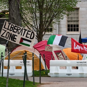 Photograph of more tents.