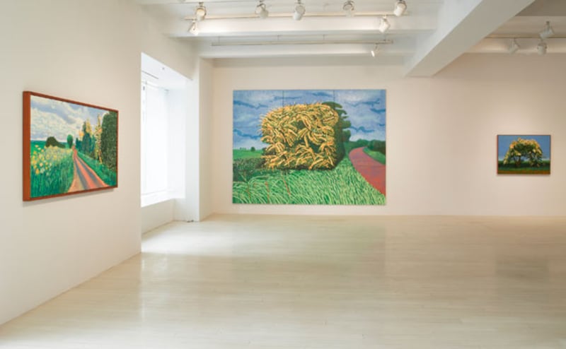 galleries/2009/11/25/david-hockney-s-landscapes/david-hockney-13_ntzsol