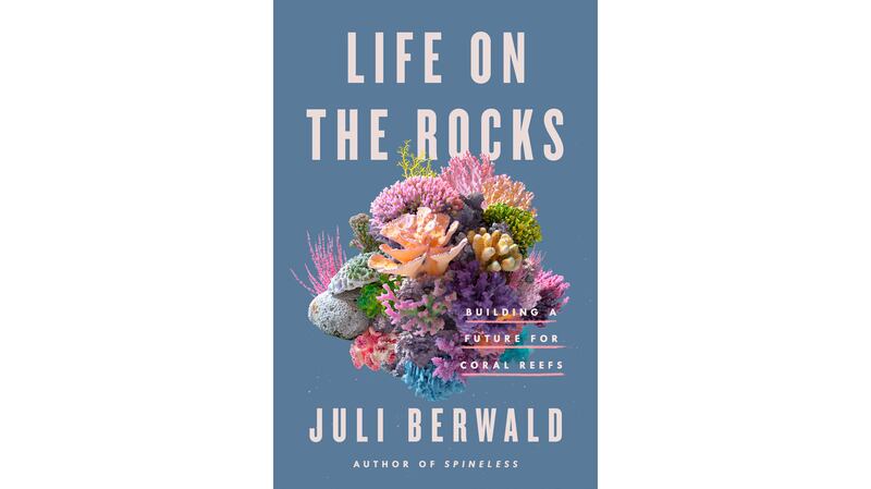 220527-summer-beach-reads-embed-life-on-the-rocks_n5fxwt