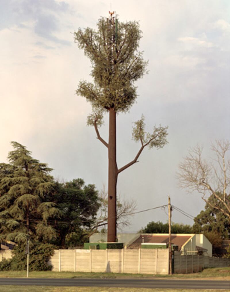 galleries/2010/01/07/robert-voit-this-is-not-a-tree/robert-voit-4_vtg9hw