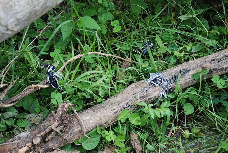 Cut up denim strewn on branches 