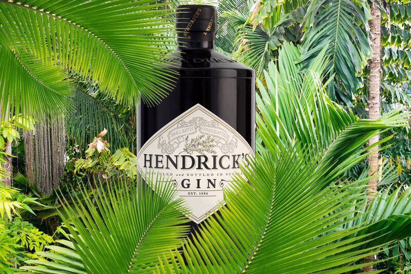 articles/2014/07/08/when-a-modern-day-indiana-jones-met-an-adventurous-gin-distiller/140707-binlot-hendricks-tease_z18wgb