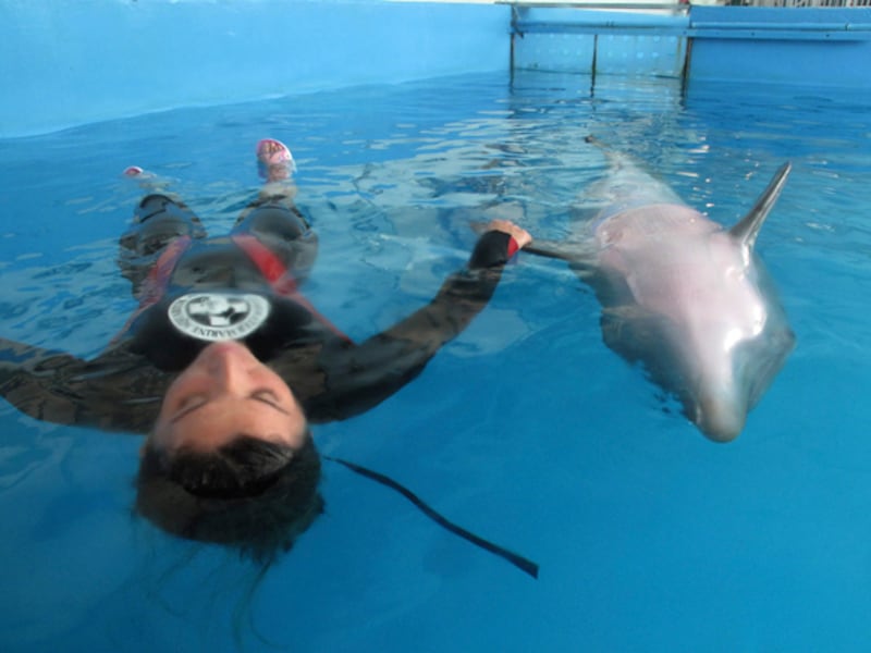 galleries/2009/11/30/high-tech-prosthetics-serve-human-amputees-and-disabled-animals/dolphin-prosthetic-13_n0cgc0