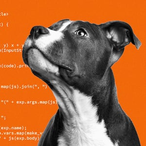 An illustration including a photo of a dog and code