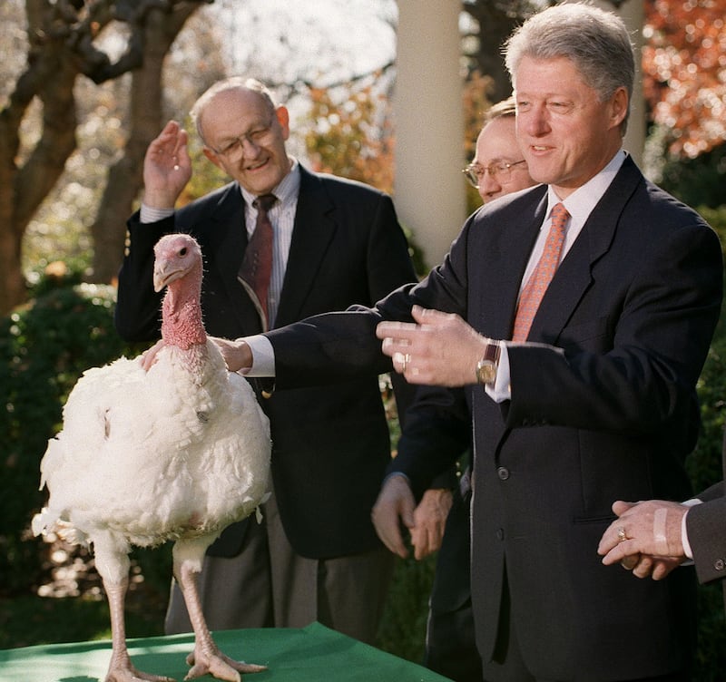 galleries/2012/11/21/barack-obama-bill-cinton-more-presidential-turkey-pardons-photos/20pardon6_kzcy0r