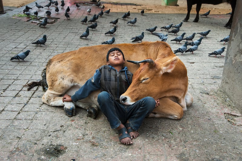 p.310_McCurry_NEPAL_hybjmn