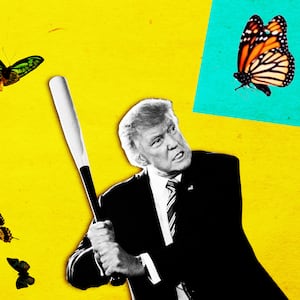 190213-weill-butterfly-trump-tease-2_prt0y8