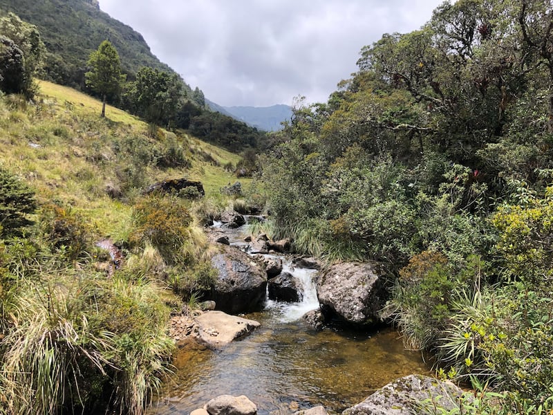 A photograph of a stream along the Inca trail near Carachula.