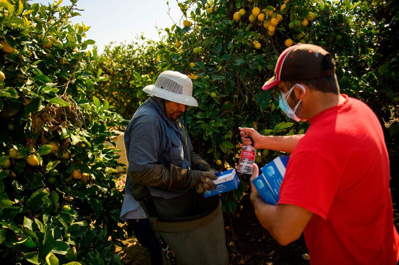 080622-navarrette-migrantworkers-embed2_baca74