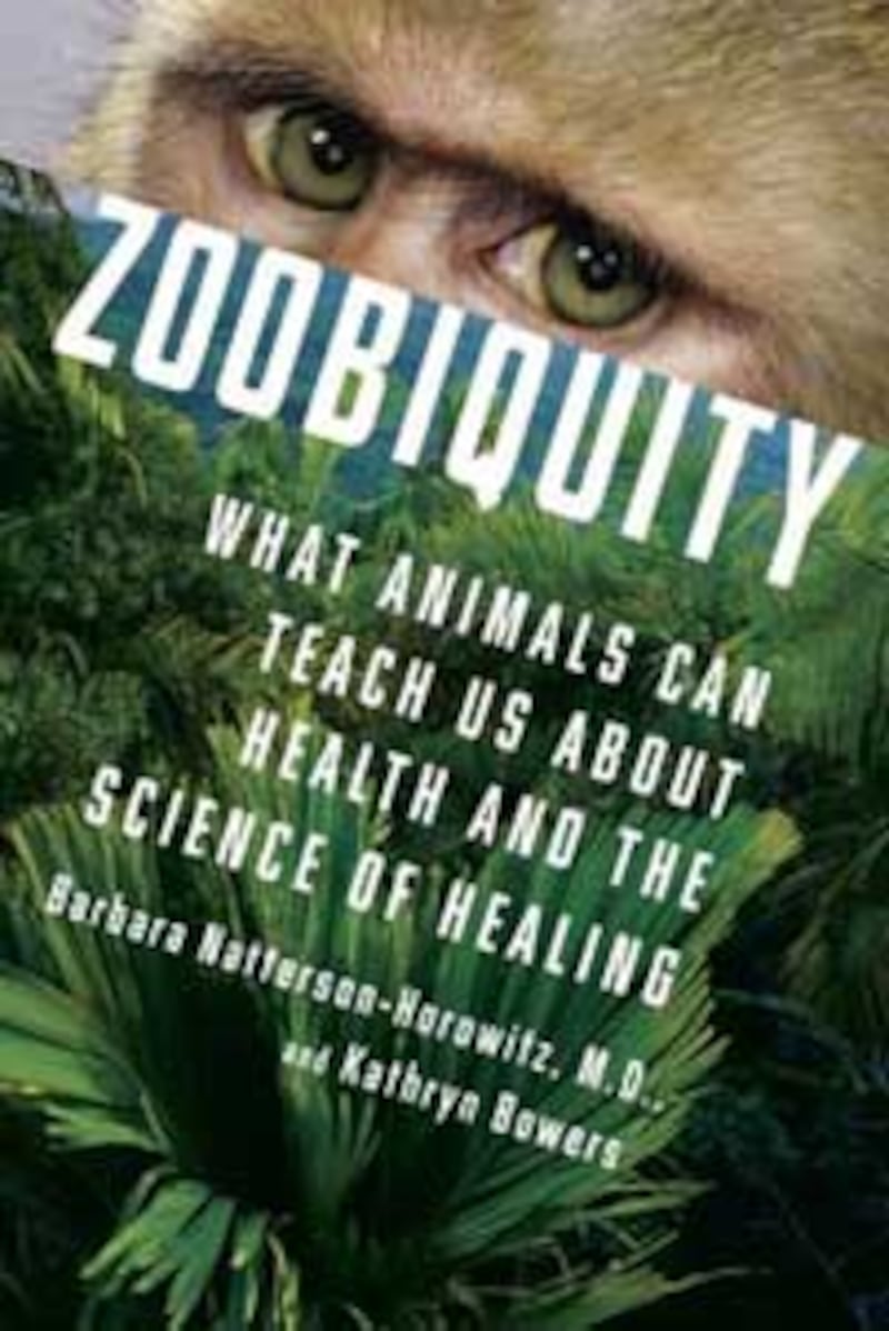 articles/2012/06/17/zoobiquity-what-animals-can-teach-us-about-our-health/zoobiquity-natterson-horowitz-bowers-bookcover_era3cd