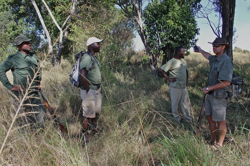 articles/2013/07/09/walking-with-wildebeests-exploring-the-serengeti-on-foot/130707-Eade-Serengeti-embed-01_argcqu