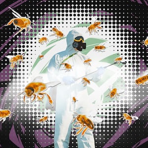 220821-bees-human-activity-hero_zfiuuo