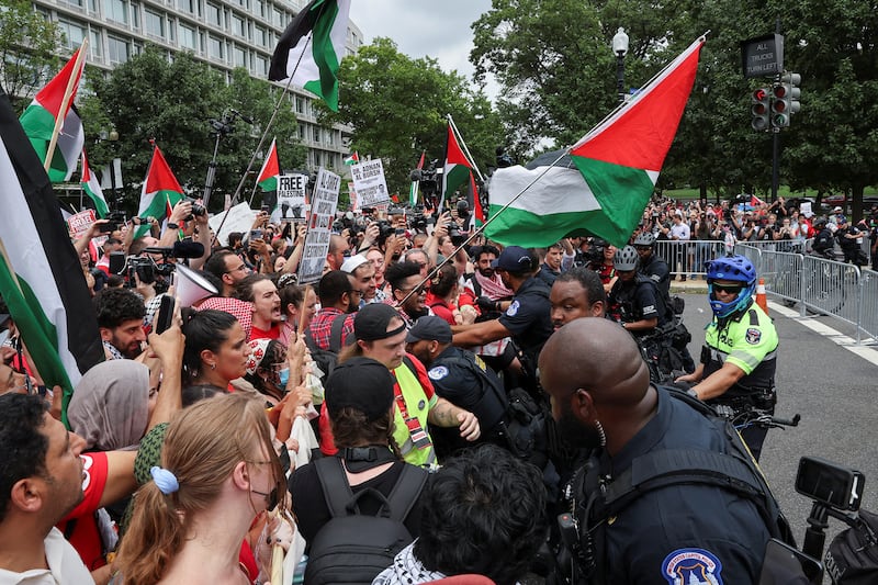 Pro-Palestine protesters outside the Capitol building