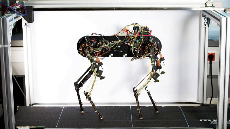 220718-Tran-robot-dog-embed-02_e1boev