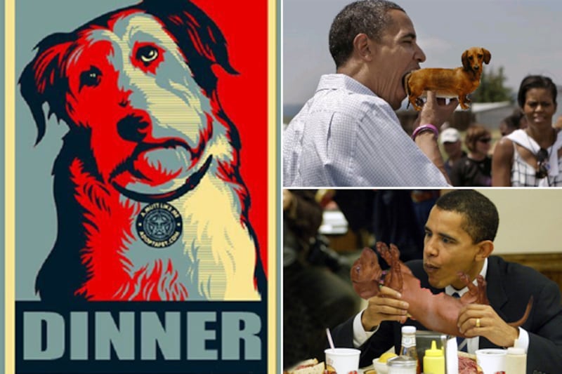 galleries/2012/04/21/meme-of-the-week-obama-eats-dog-photos/obamadog-tease_zlefzq