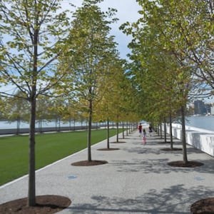 articles/2012/09/23/inside-new-york-s-new-four-freedoms-park-a-private-tour/fdr-park-sherr-tease_mmfs9n