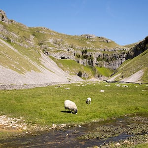 Yorkshire Dales national park, England, UK.