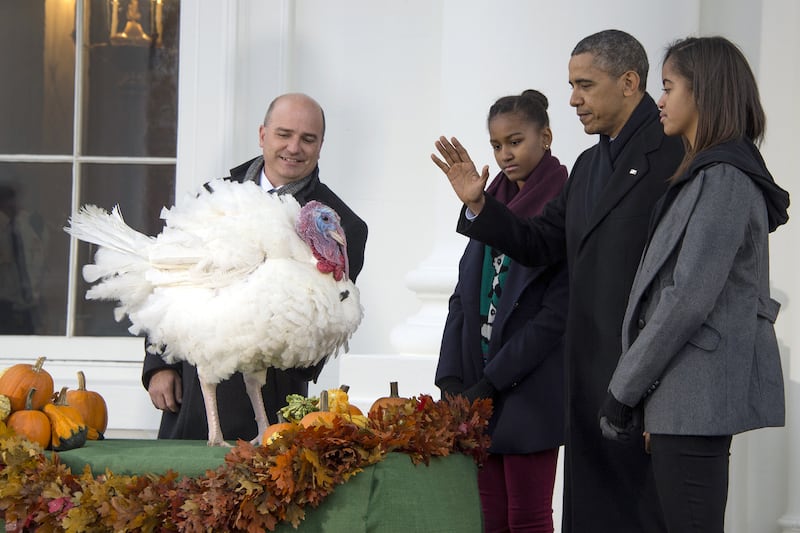 galleries/2012/11/21/barack-obama-bill-cinton-more-presidential-turkey-pardons-photos/131127-obama-turkey-pardon_bimna8