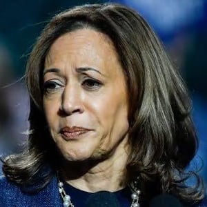 The Democratic blame game has begun after Kamala Harris’ defeat to Donald Trump in the 2024 presidential election.