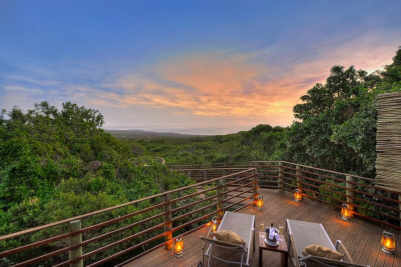 galleries/2014/01/14/from-italy-to-santa-fe-the-best-hotels-of-2014-photos/2014-best-hotels-grootbos_aizxt9