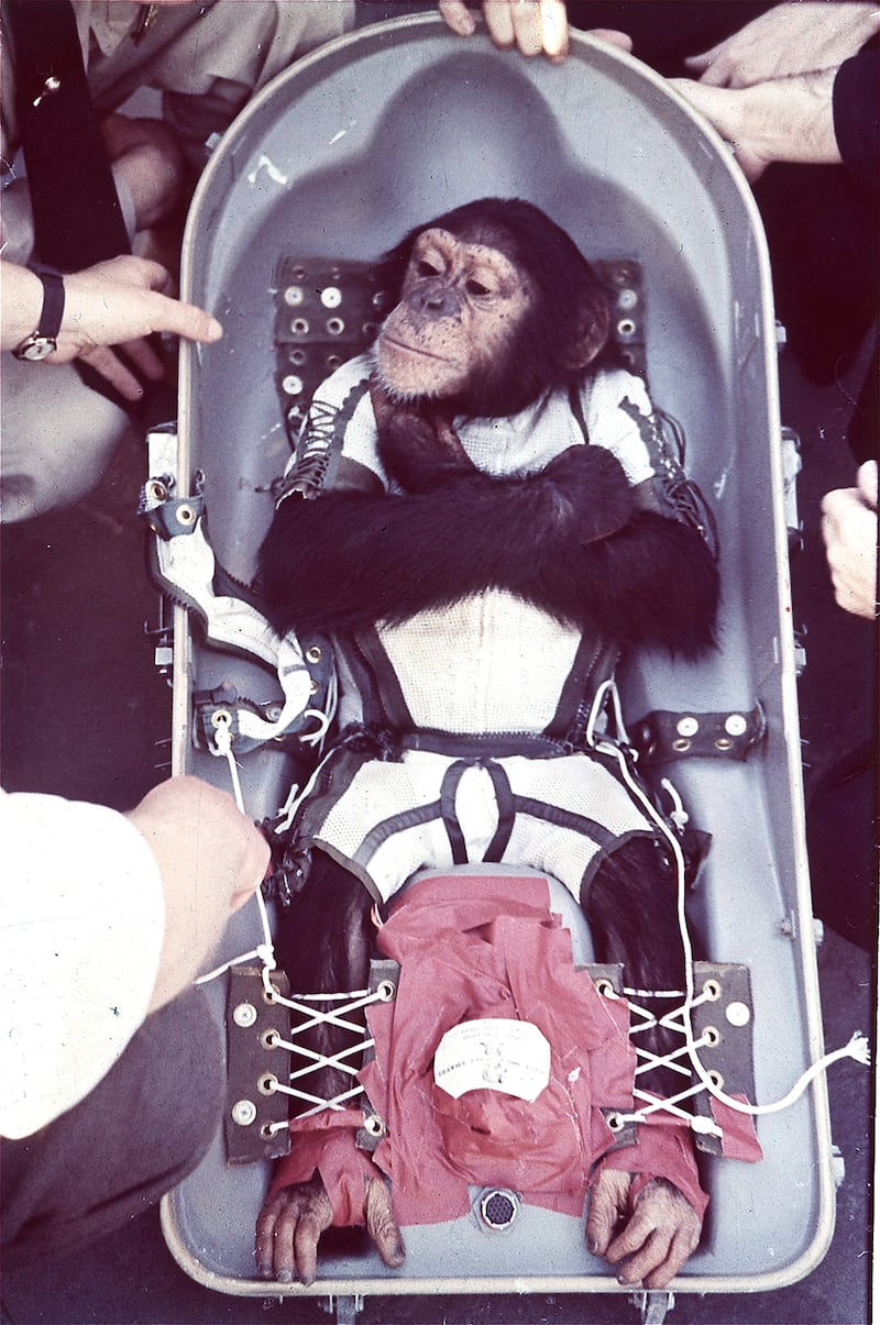 galleries/2012/12/11/best-and-worst-dressed-monkeys-ikea-monkey-bubbles-more-photos/monkey-fashion-space_oyfpcg