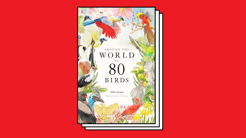 world-80-birds-embed_lynxfm