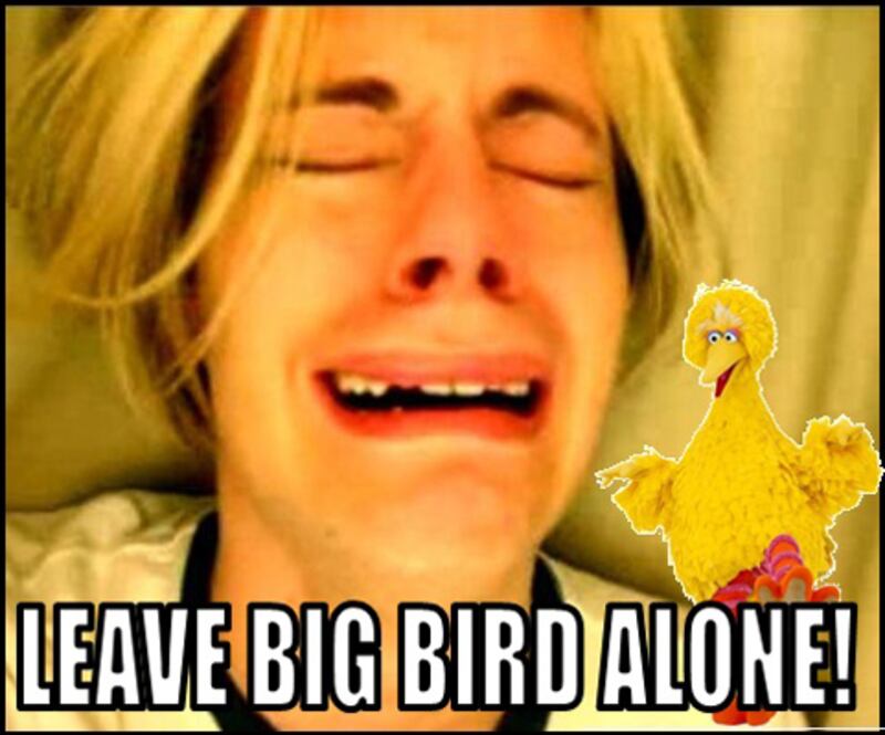 galleries/2012/10/04/romney-would-cut-pbs-funding-7-unemployed-big-bird-memes-photos/big-bird-mitt-memes-6_yphjbh