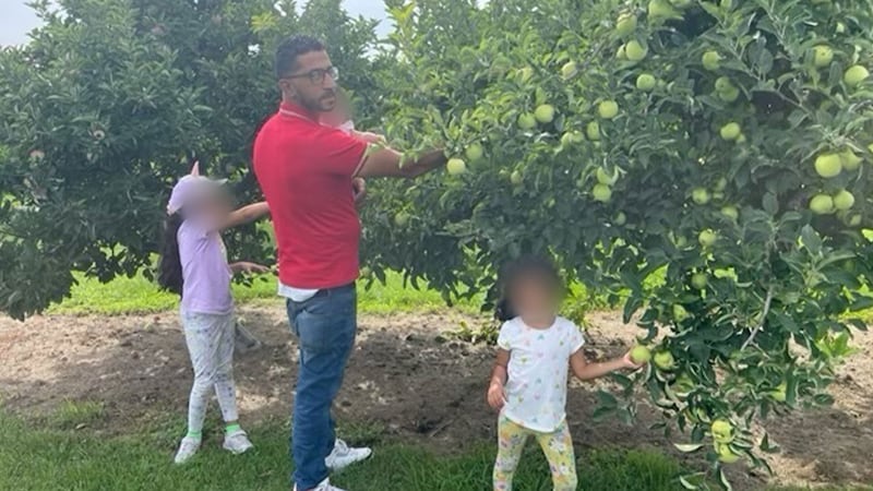 Joe Mahmoud and his family picking fruit