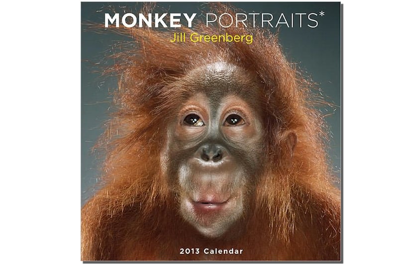 galleries/2012/12/06/2012-gift-guide-for-the-locavore/guide-monkey2560_jg83go