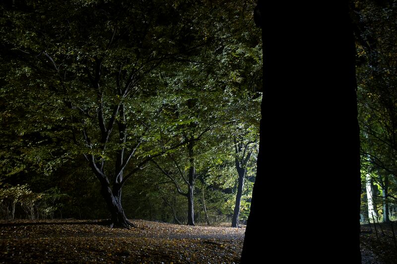 articles/2013/08/01/the-dark-secrets-of-central-park/130801-central-park-fairstein-tease_qdfzlt