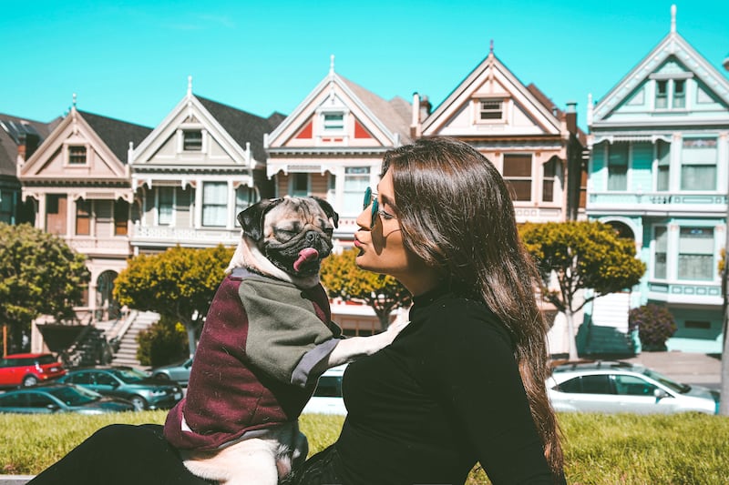 180310-piedra-insta-dogs-doug-the-pug-1_st251x