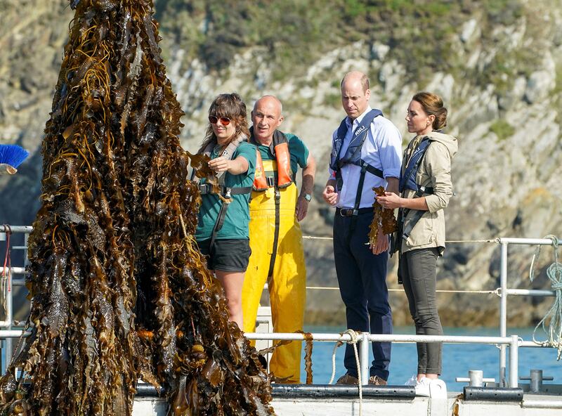 The Prince and Princess of Wales visited the Car-Y-Mor Seaweed Farm St Davids, Pembrokeshire in Wales.