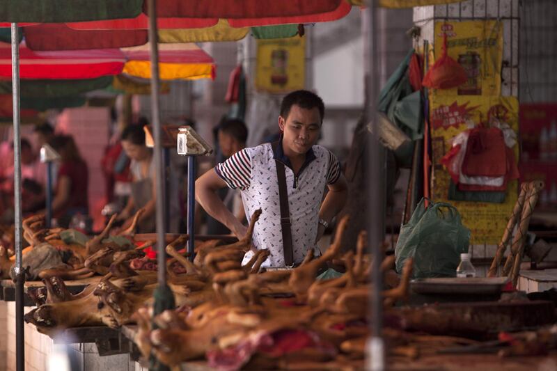 articles/2015/06/19/chinese-town-to-kill-10-000-dogs-for-festival/150619-joiner-dog-fest-embed_yihmt4