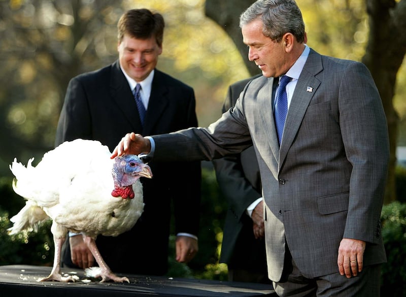 galleries/2012/11/21/barack-obama-bill-cinton-more-presidential-turkey-pardons-photos/20pardon8_tk3bgq