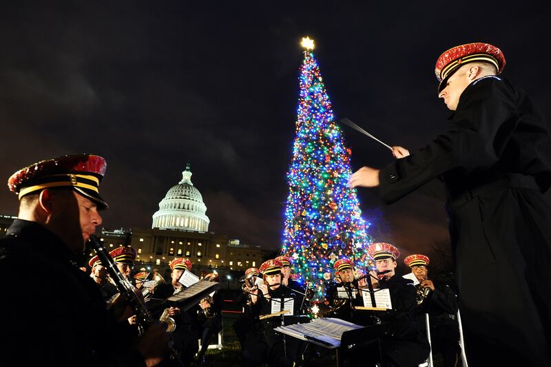 galleries/2011/12/23/spectacular-christmas-trees-photos/christmas-trees-washington-dc_diddko