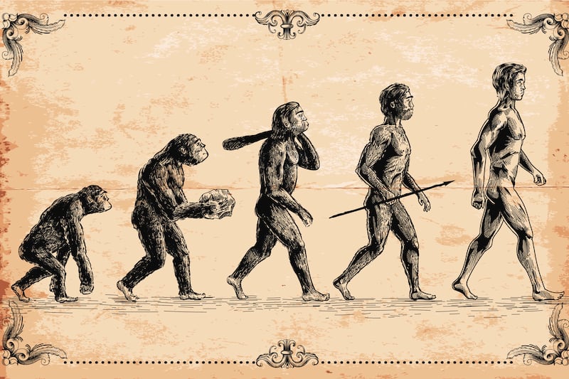 articles/2014/06/01/the-crazy-way-creationists-try-to-explain-human-tails-without-evolution/140530-giberson-evolution-tease_zydipz