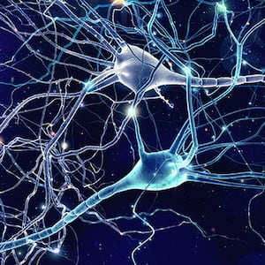 Neurons_1_jzfiks