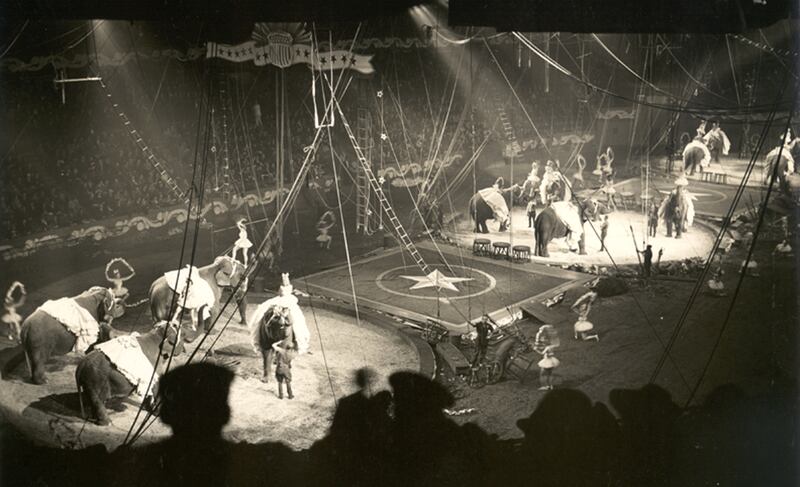 galleries/2012/10/21/the-american-circus-chronicles-the-big-top-s-glory-days-photos/the-american-circus-elephants-dance_y8zp3x