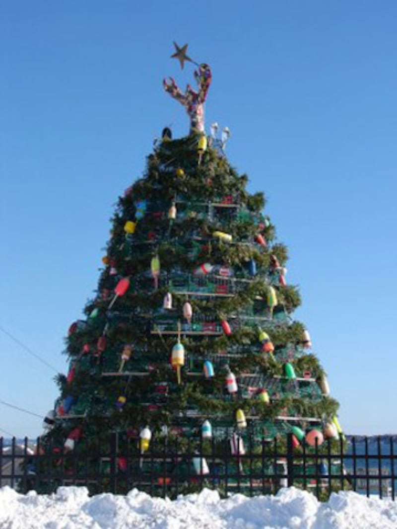 articles/2013/12/21/new-england-s-crazy-christmas-tree-tradition/lobster-trap-christmas-tree-rockland_xvmxtf