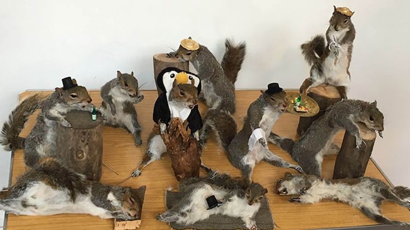 191213-brooklyn-taxidermy-embed3_deqaok